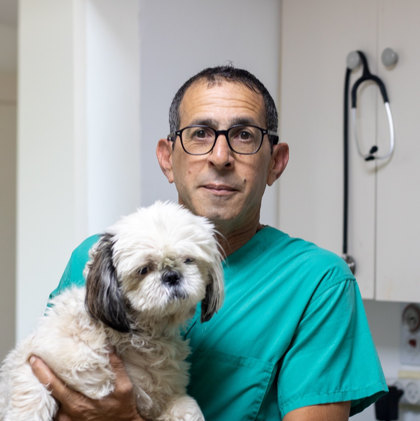 ד״ר דרור בן יהודה וטרינר מומחה